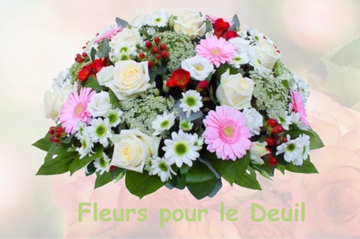 fleurs deuil SAINT-BENIN-D-AZY